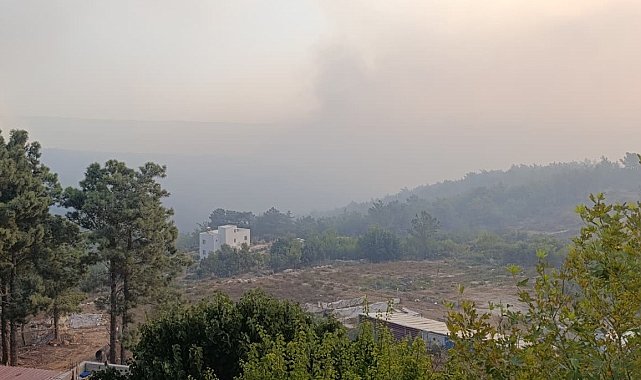 Mersin'deki orman yangını 2. gününde