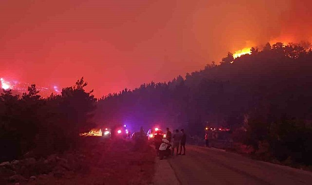 Mersin'deki orman yangınına müdahale sürüyor