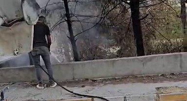Mikser sürücüsü ağaçları yanmaktan kurtardı