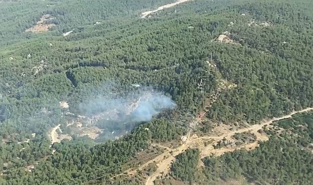 Milas'ta çıkan orman yangını kontrol altına alındı