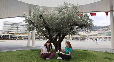 Milli İrade Meydanı'na 300'den fazla ağaç dikildi