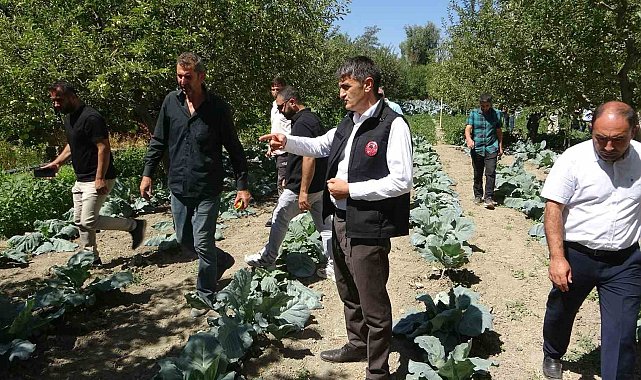 Modern basınçlı sulama sistemiyle hem işçilikten hem de verimden kazandı