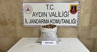 Motosikletli incir hırsızı jandarmadan kaçamadı