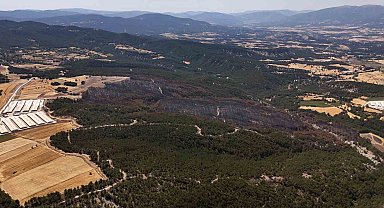 Mudurnu'daki orman yangınında 66 hektar alan kül oldu