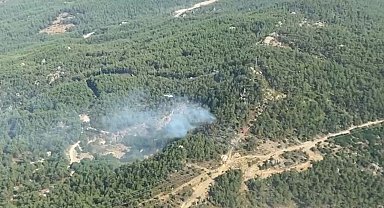 Muğla Milas'ta ormanlık alanda yangın
