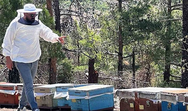 Muğla'da arılı kovan destekleme tespit çalışması yapıldı