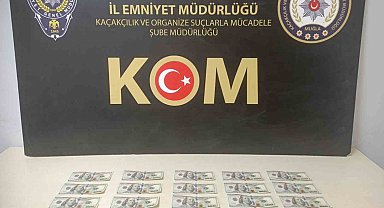 Muğla'da sahte dolar operasyonu
