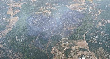 Muğla'daki orman yangını kontrol altına alındı
