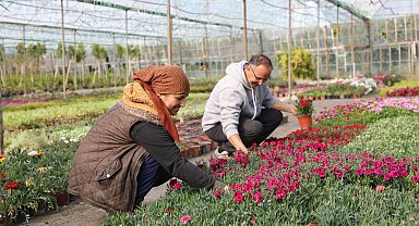 Muğla'da kadın emeğiyle çiçek devrimi... 27 milyon çiçek, 23 milyon tasarruf