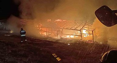 Muş'ta ahır yangını: Hayvanlar son anda kurtarıldı