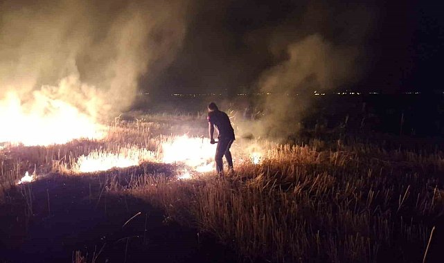 Muş'ta anız yangını korkuttu