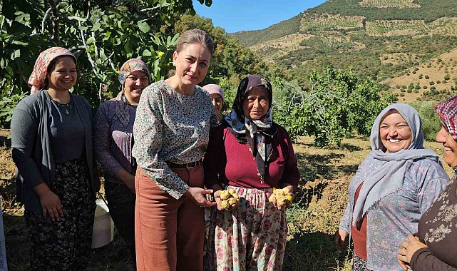 Nazilli Kaymakamı Kan, incir hasadına katıldı