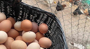 Okulların açılması yumurtayı "Mayıs çukuru"ndan kurtaracak