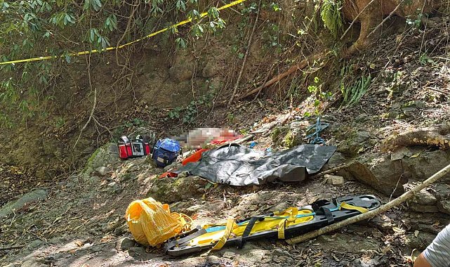 Ordu'da fındık toplarken uçurumdan düşen vatandaş hayatını kaybetti