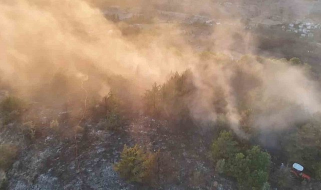 Ordu'da ormanlık alanda çıkan yangın söndürüldü