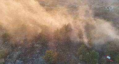 Ordu'da ormanlık alanda çıkan yangın söndürüldü