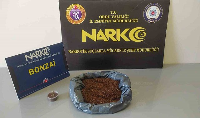 Ordu'da uyuşturucu operasyonlarında 2 tutuklama