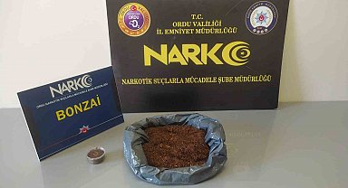 Ordu'da uyuşturucu operasyonlarında 2 tutuklama