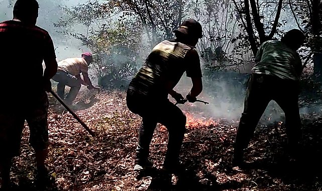 Ordu'nun iki ilçesinde çıkan yangın ekipler tarafından söndürüldü
