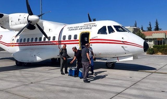Organ nakli bekleyen hastaya Hava Kuvvetlerine ait ambulansla karaciğer grefti ulaştırıldı