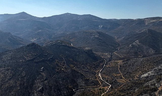 Orman yangınından geriye kalan acı manzara: 15 bin dönümden fazla alan küle döndü
