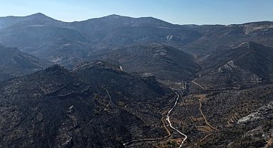 Orman yangınından geriye kalan acı manzara: 15 bin dönümden fazla alan küle döndü