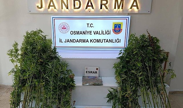 Osmaniye'de bir haftada 121 şüpheli yakalandı