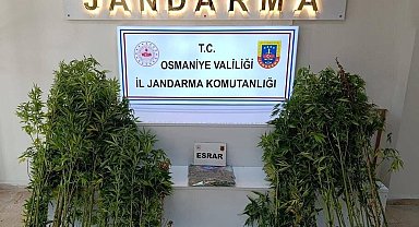 Osmaniye'de bir haftada 121 şüpheli yakalandı