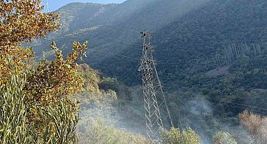 Osmaniye'de orman yangını