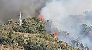 Osmaniye'nin Bahçe ilçesinde ormanlık alanda yangın çıktı
