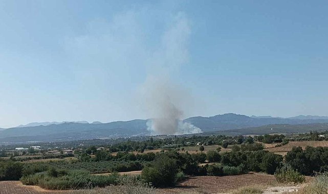 Osmaniye'nin Sumbas ilçesinde orman yangını başladı