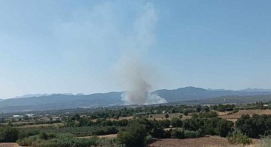 Osmaniye'nin Sumbas ilçesinde orman yangını başladı