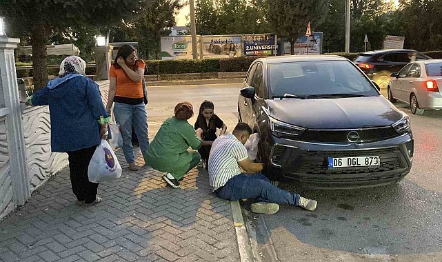 Otomobilin kaputunda mahsur kalan kediyi kurtarmak için mahalleli seferber oldu
