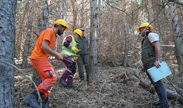 Palandöken'de yangına karşı seferberlik