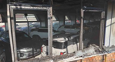Pendik'te arazi yangını: Milyonluk sıfır araçlar son anda kurtarıldı