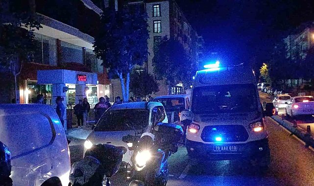 Polisin "dur" ihtarına uymayan sürücü kaçarken kaza yaptı