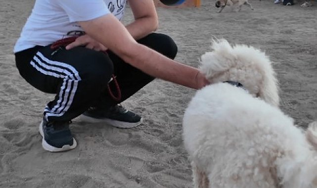 Proteo Köpek Eğitim Parkuru'na tam not