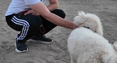 Proteo Köpek Eğitim Parkuru'na tam not