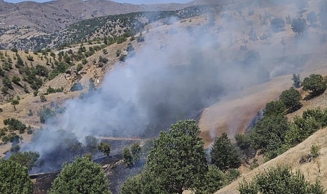 Pütürge'de orman yangını