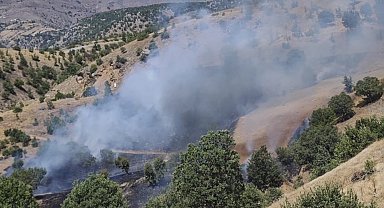 Pütürge'de orman yangını