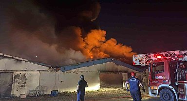 Sakarya'da boya fabrikasında yangın