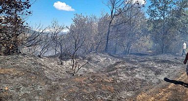 Sakarya'da ormanlık alanda çıkan yangın büyümeden söndürüldü