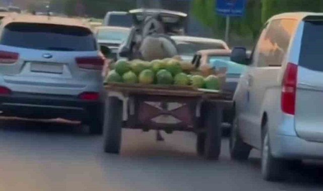 Şam'da karpuz yüklü at arabası trafiği birbirine kattı