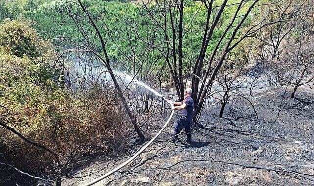Samandağ'da bahçe yangını kısa sürede söndürüldü