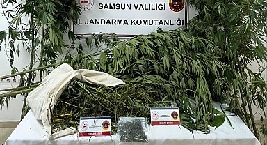 Samsun'da jandarma kenevir ve kubar esrar ele geçirdi