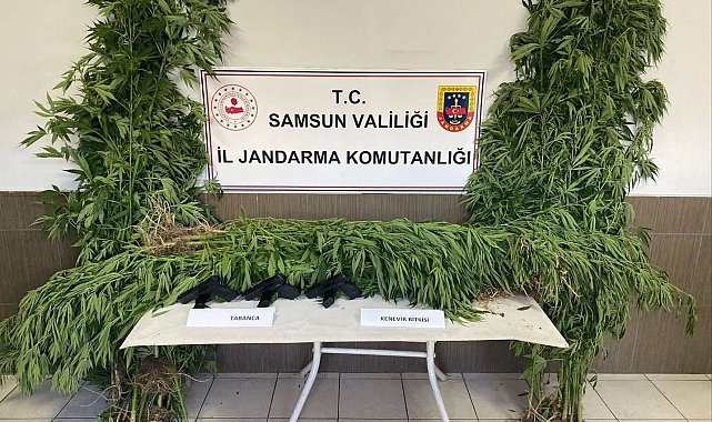 Samsun'da jandarmadan silah ve uyuşturucu operasyonları: 4 gözaltı