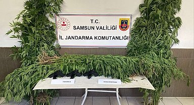 Samsun'da jandarmadan silah ve uyuşturucu operasyonları: 4 gözaltı