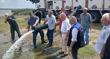 Samsun'da yaklaşık 2,5 milyon sazan su kaynaklarına bırakıldı