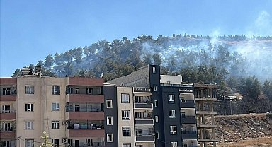 Şanlıurfa'da ağaçlık alanda çıkan yangın söndürüldü