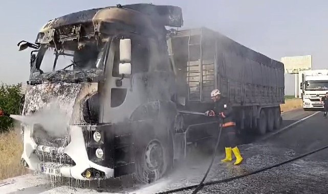 Şanlıurfa'da alev alan tır kullanılamaz hale geldi